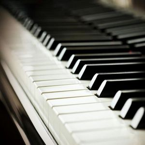 乳首各种奶头在线看
